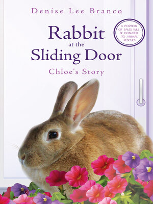 cover image of Rabbit at the Sliding Door